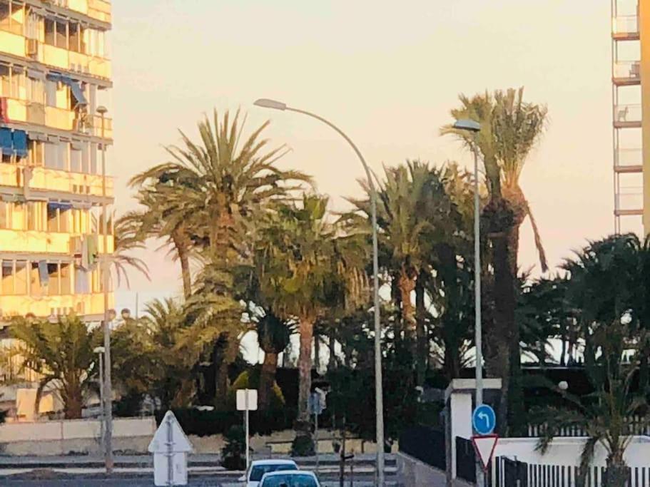 Apartamento Alicante Playa De San Juan Benimagrell Exteriér fotografie